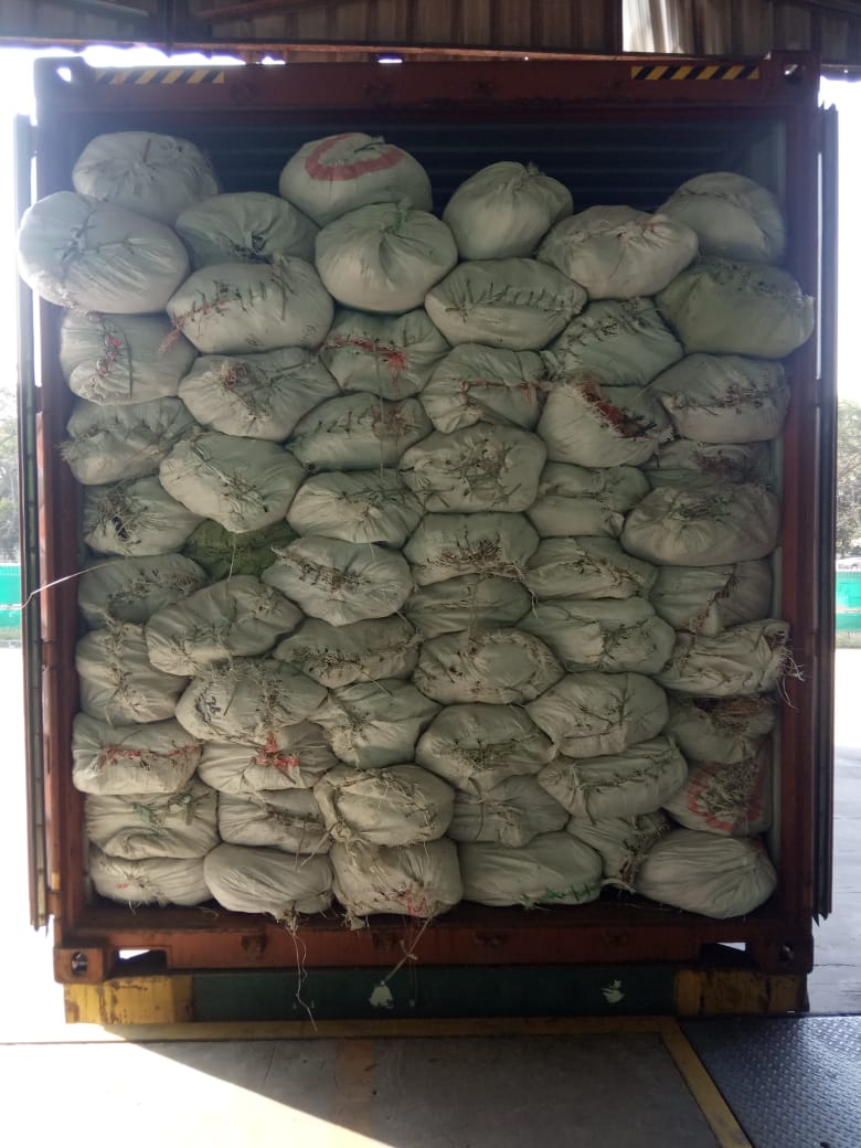 WhatsApp Image 2021-07-17 at 18.48.24 (1)